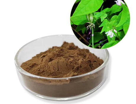 Epimedium Extract（Epimedium grandiflorum)