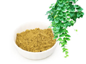 Lvy Leaf Extract