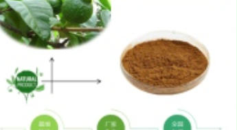 Guava Leaf Extract