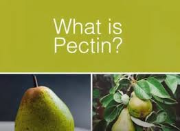 pectin