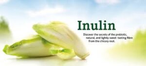 inulin powder
