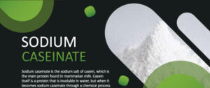 sodium caseinate