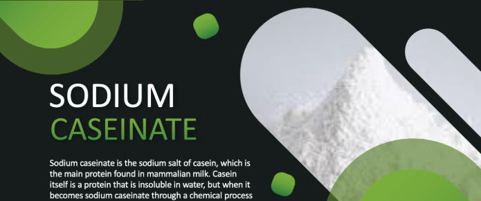 sodium caseinate